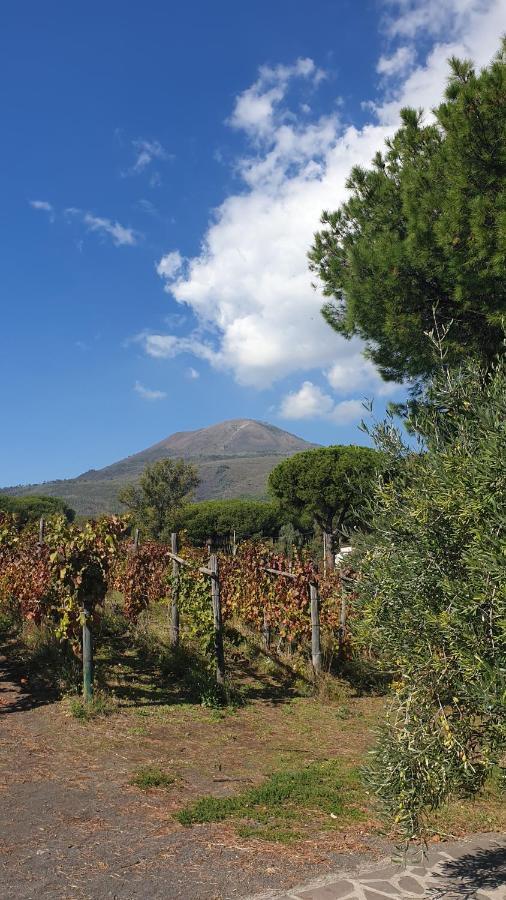 Beb Casale Pompei Rendine Villa Boscotrecase Eksteriør billede