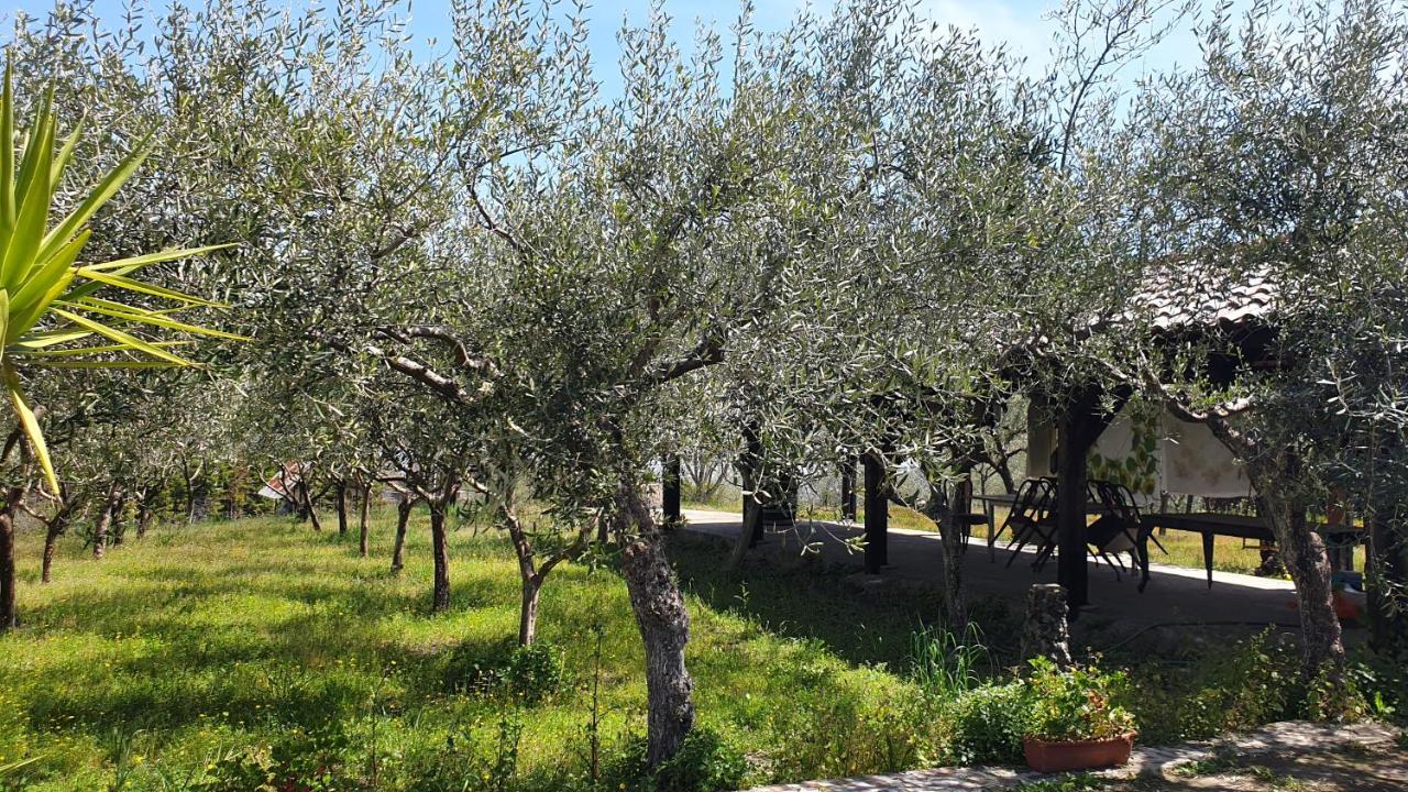 Beb Casale Pompei Rendine Villa Boscotrecase Eksteriør billede