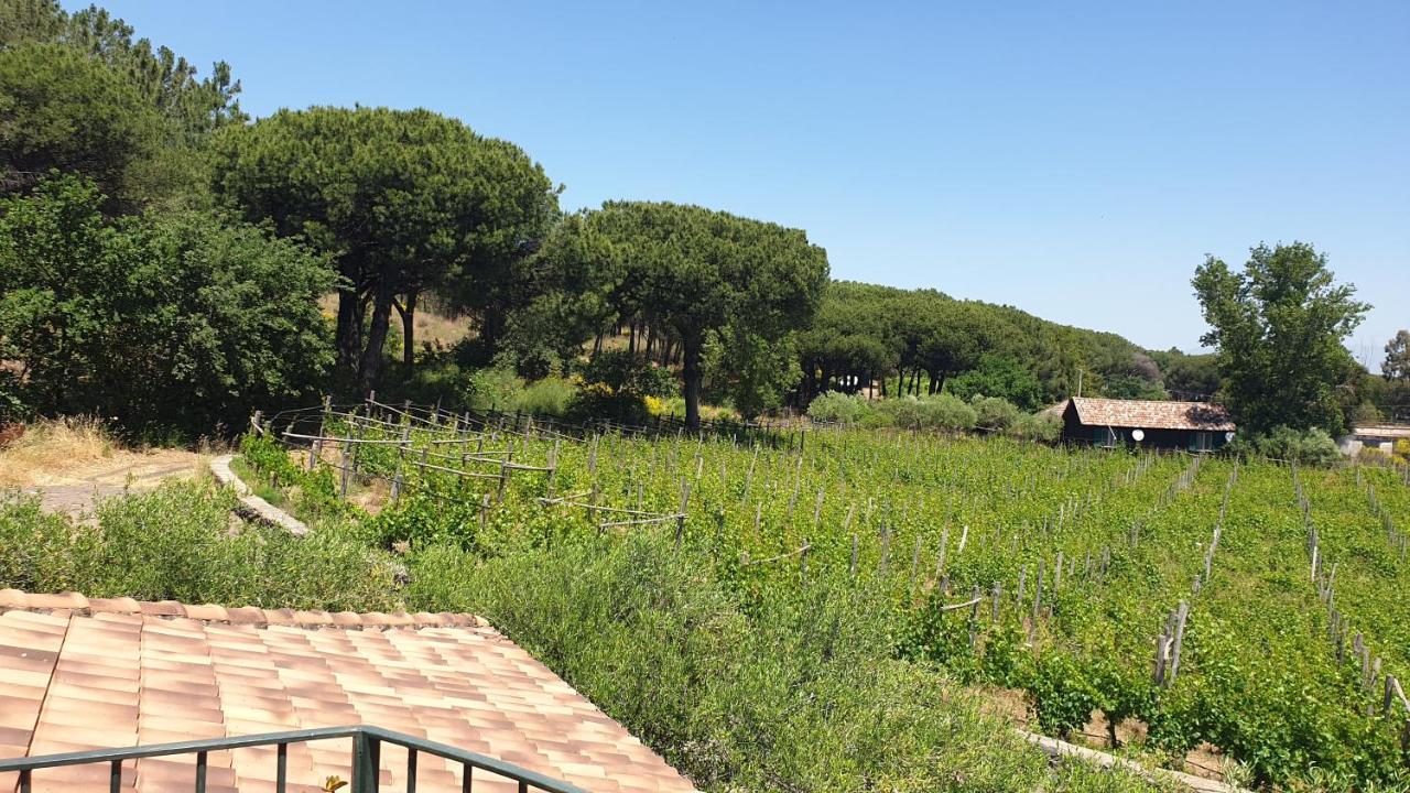 Beb Casale Pompei Rendine Villa Boscotrecase Eksteriør billede