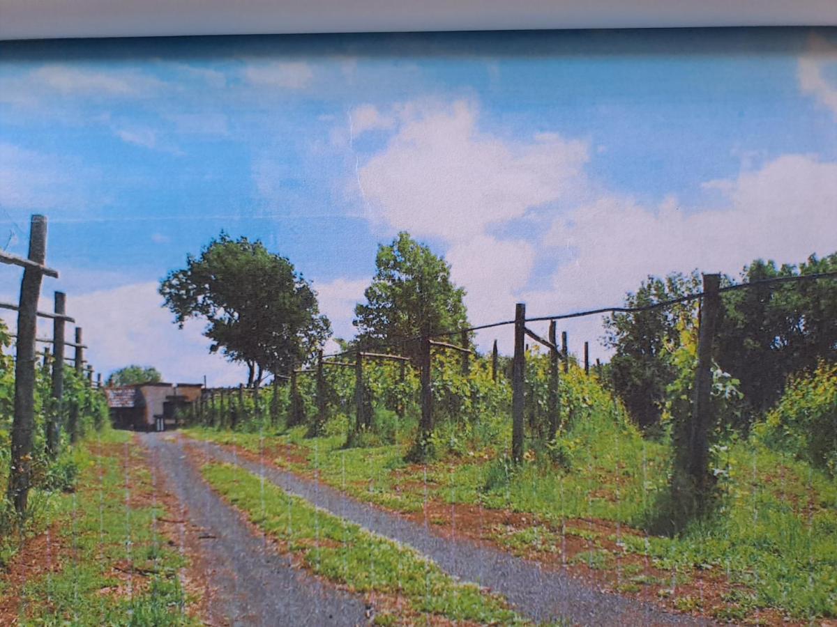 Beb Casale Pompei Rendine Villa Boscotrecase Eksteriør billede